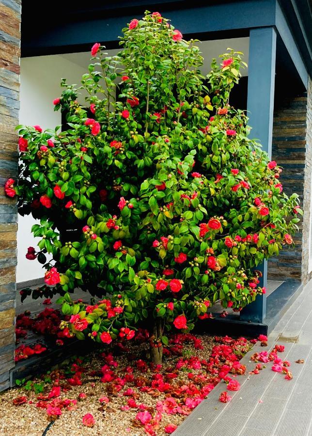 Quinta Do Portal Guest House Bespeira Kültér fotó